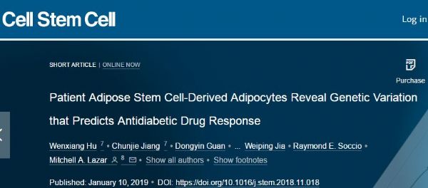 Cell <font color="red">Stem</font> Cell：利用人类脂肪细胞的遗传特性来预测不同患者对糖尿病药物的反应