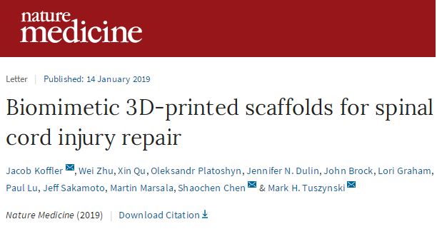 Nat Med：3D打印脊髓支架恢复受伤<font color="red">大鼠</font>运动功能