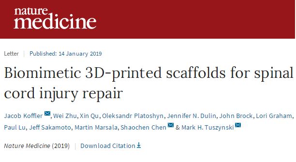 Nat Med：3D打印脊髓支架恢复受伤大鼠运动功能