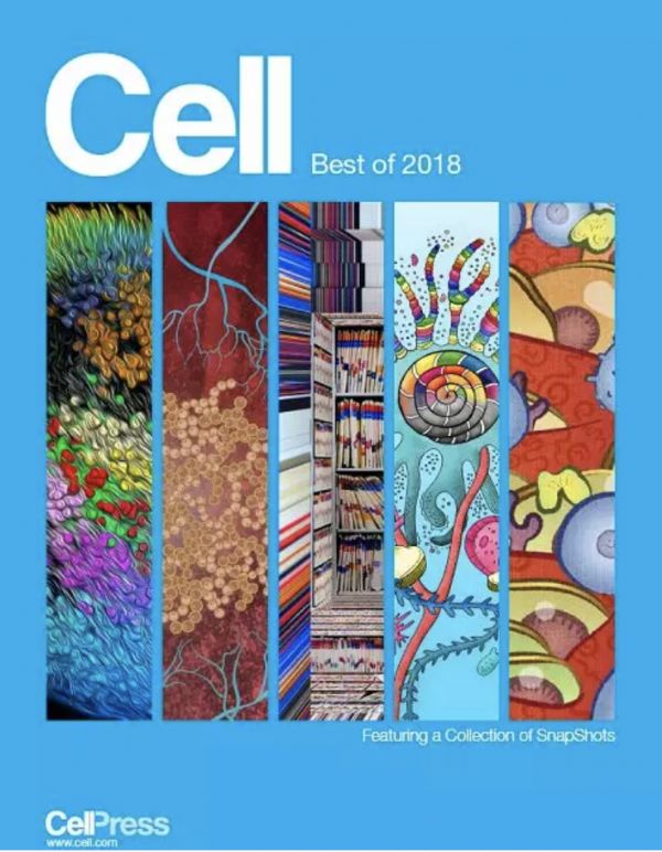 Cell重磅发布：2018年十大最佳论文/综述出炉