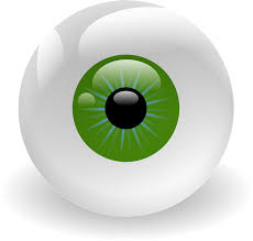 J Glaucoma：快速青光眼进展患者的生活质量和视力相关的表现研究