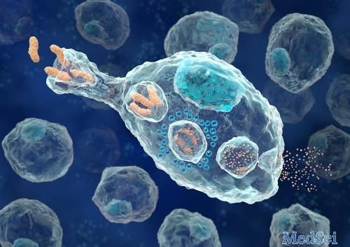 Scientific Reports： 肝巨噬细胞耗竭可以改善间充质干细胞移植对小鼠肝损伤模型的影响