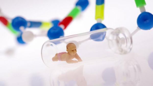 新华社公布基因编辑婴儿事件调查结果