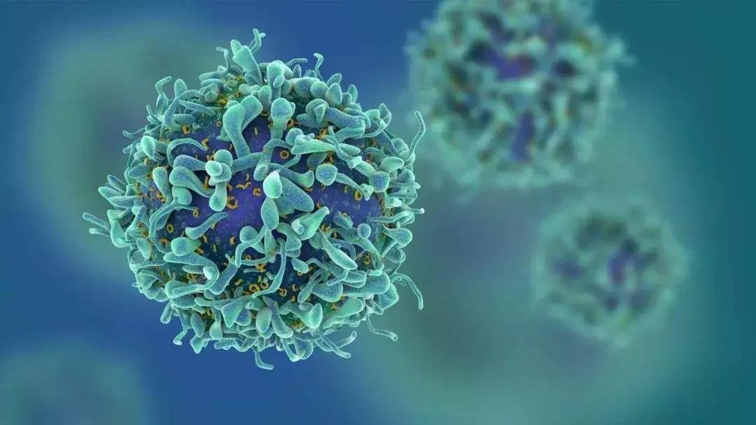 Cell Stem Cell: 再生抗癌T细胞问世！绝杀肿瘤细胞！