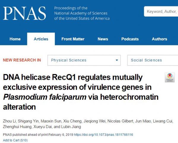 PNAS：发现DNA解旋酶PfRecQ1调控恶性疟原虫 抗原变异基因家族相互排斥性表达的分子机制