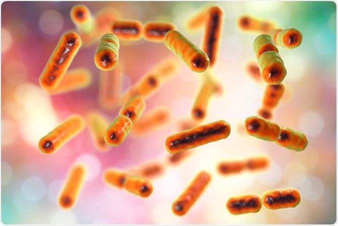 Nature Microbiology:谁是我们心理的主宰？科学家首次在人群水平研究中证实，抑郁症与特定肠道微生物相关