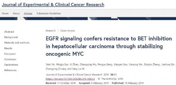J Exp Clin Cancer <font color="red">Res</font>：肝癌转化医学领域新进展