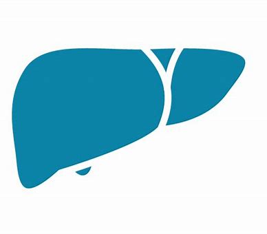Ocaliva符合NASH引起的肝纤维化患者III期试验的主要目标