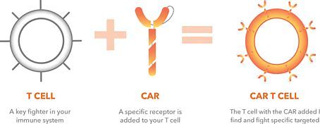 加拿大批准<font color="red">Yescarta</font>（Axicabtagene Ciloleucel）CAR T疗法治疗成人复发或难治性大B细胞淋巴瘤