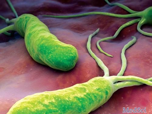 BMC Gastroenterology： 幽门螺杆菌感染与中国人群结直肠腺瘤性息肉风险增加有关