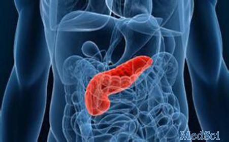 BMC Gastroenterology： 不建议对慢性胰腺炎进行自身<font color="red">抗体</font>检测