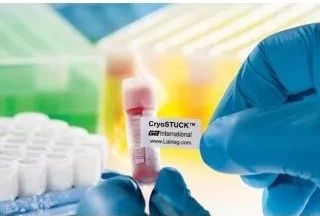 Nat Biotech:华人科学家分析13个著名实验室<font color="red">海</font><font color="red">拉</font>细胞发现，它们或已进化成新“物种”，癌症研究现危机