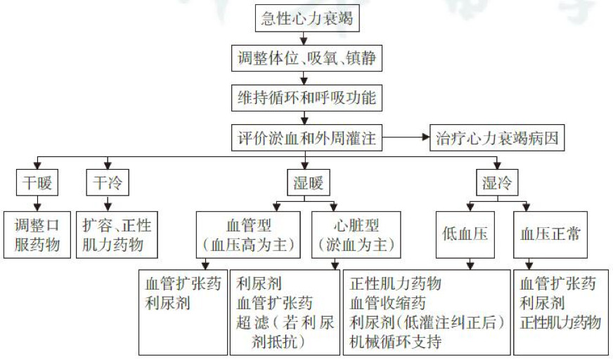 遇到急性左心衰请这样处理