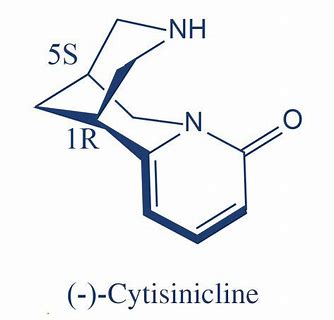 尼古丁和烟草研究协会（SRNT）年会：I / II期试验阐明了Cytisinicline的多剂量、药代动力学和药效学特征