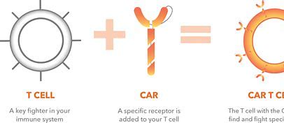 Cellectis公布了提高CAR T细胞治疗安全性和预防CRS的新方法 