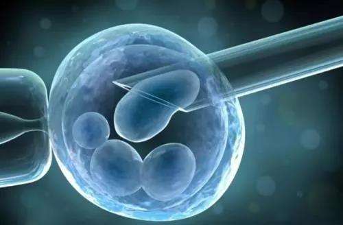 我国首个针对胚胎干细胞的产品标准正式发布