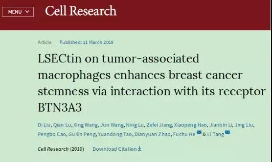 Cell Research：贺福初团队发现乳腺癌细胞<font color="red">干性</font>促进机制，开启肿瘤治疗新篇章！