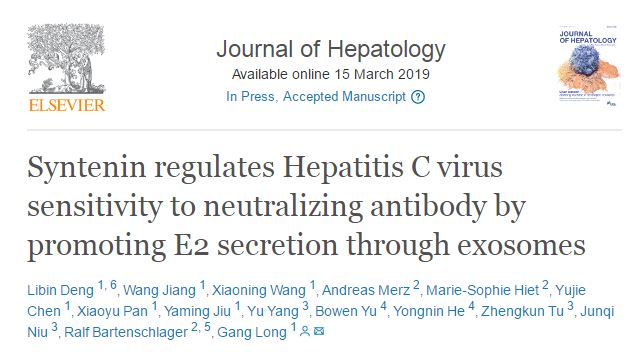 J Hepatol：发现外泌体协助丙型肝炎病毒免疫逃逸<font color="red">过程</font>中的重要调控因子