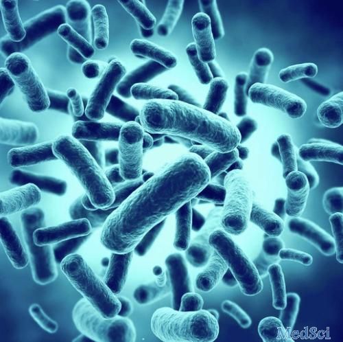 JCC： IL23R-保护性编码变异会促进没有炎症性肠病的回肠微生物组中的有益细菌的增生