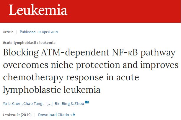 Leukemia：发现克服儿童急性淋巴细胞白血病耐药复发潜在治疗靶点