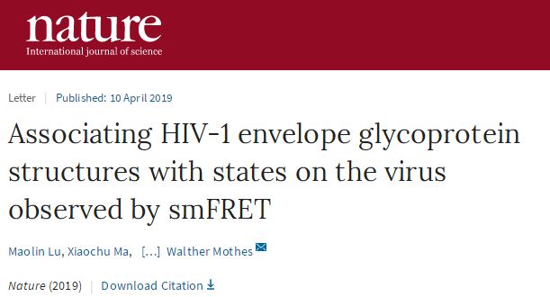 Nature：发现HIV病毒躲避免疫系统杀伤的新<font color="red">方式</font>