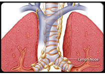Circulation：BOLA3缺陷调控肺动脉高压的<font color="red">内皮</font>细胞代谢和甘氨酸稳态
