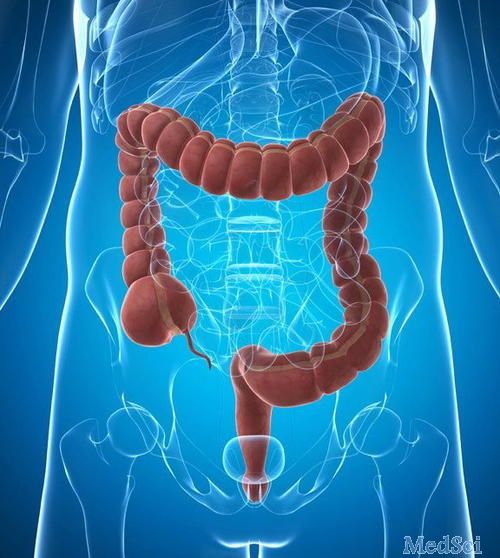 Dig Liver Dis： 肠粘膜相关微生物群比粪便微生物群更好地揭示了炎症性肠病的模式差异