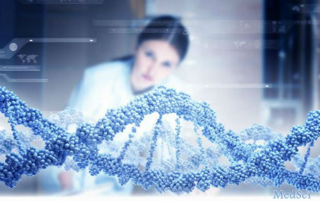 Sci Transl Med：耶鲁学者发文：操纵DNA修复+传统癌症治疗