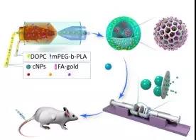 PNAS：新型药物递送系统可有效抑制87%-94%的肿瘤细胞