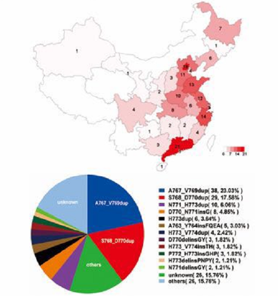 中国晚期NSCLC EGFR <font color="red">20</font><font color="red">外显子</font><font color="red">插入</font><font color="red">突变</font>患者的真实世界治疗结果