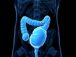 J Gastroenterology： 自然靛蓝治疗溃疡性结肠炎患者的不良事件分析
