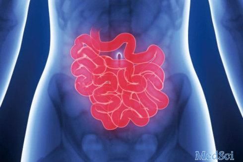 Dig Dis Sci：肠易激综合征中的腹胀严重程度与心理因素和合并症相关
