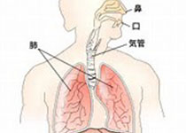 Lanet：中国哮喘流行病<font color="red">学</font>研究