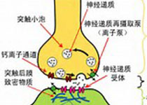 2019 法国临床指南：物理和<font color="red">康复</font><font color="red">医学</font>中周围运动神经阻滞