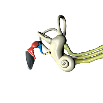 2019 SFORL指南：儿童耳蜗植入适应证