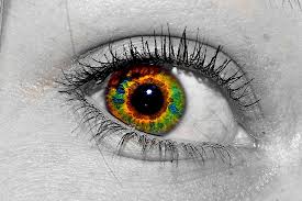 Eye (Lond)：慢性高眼压猴模型中眼压与<font color="red">视网膜</font><font color="red">神经纤维</font>厚度的关系