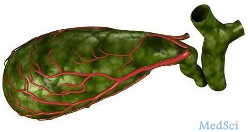 Dig Liver Dis：胆汁石胆酸可预测粪菌移植的治疗复发性艰难梭菌感染的效果