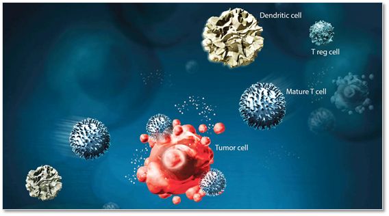 Nat biotech：超级CAR-T细胞让肿瘤完全消失！