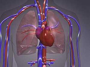 JAMA Cardiol：美国医疗补助扩展与心血管死亡率的关系