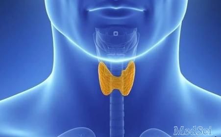 Thyroid： 毒性弥漫性甲状腺肿患者长期接受甲巯咪唑治疗会增加缓解率