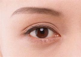 Lancet Glob Health：温州学者研究称，中国开展青光眼人群筛查成本效益比良好