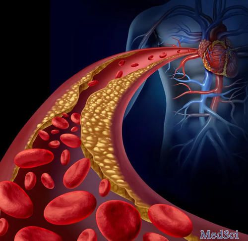 JAMA Cardiol：有氧运动和阻力运动对心脏脂肪组织的影响