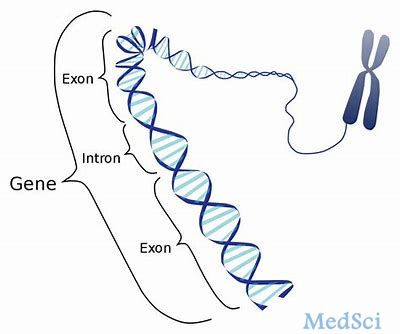 Sanfilippo综合征A型的基因疗法：基因疗法ABO-102的I/II期临床试验取得阶段性成果