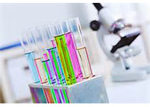 Biochemia Medica：<font color="red">尿液</font>检测试纸条分析报告类别