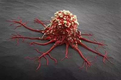 Nat Immunol:首次<font color="red">利用</font>液体活检预测实体瘤复发风险