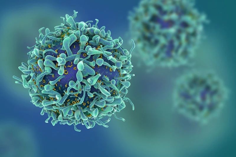 Nature：激活CD8+T细胞，为多种自身免疫性疾病提供“庇护伞”
