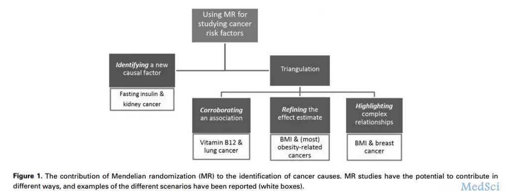 孟德尔随<font color="red">机化</font>表示：肥胖相关的癌症风险被低估了！