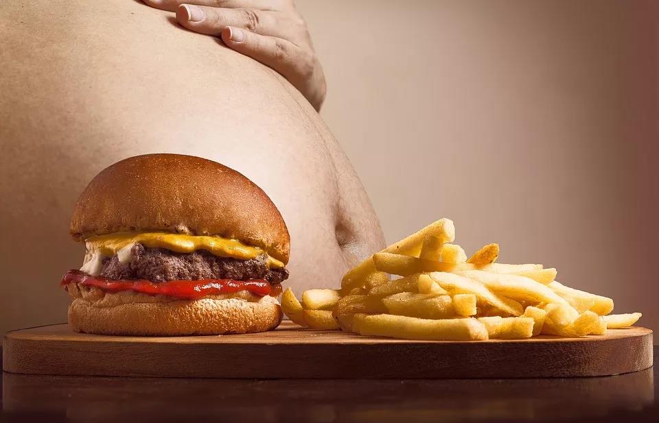 Mol Psychaitr：颠覆认知！妊娠期间母亲高脂饮食可以预防后代阿尔茨海默症