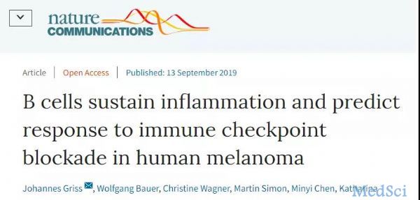 Nat commun：B<font color="red">细胞</font>带来危机与转机，黑素瘤免疫疗法将何去何从？