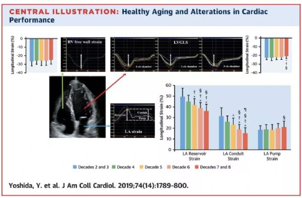 JACC：健康衰老过程中心脏功能和血清B型利钠肽水平的变化